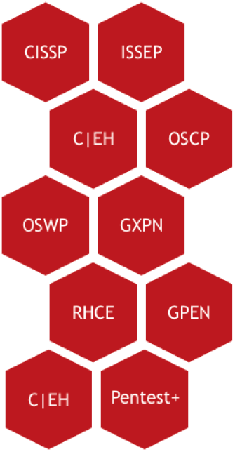 Penetration Testing As A Service (PTaaS) - nDepth Security LLC Penetration Testing As A Service (PTaaS) - nDepth Security LLC