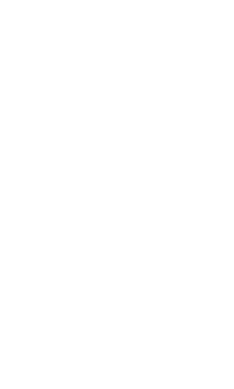 Logo nDepth Security Logo nDepth Security